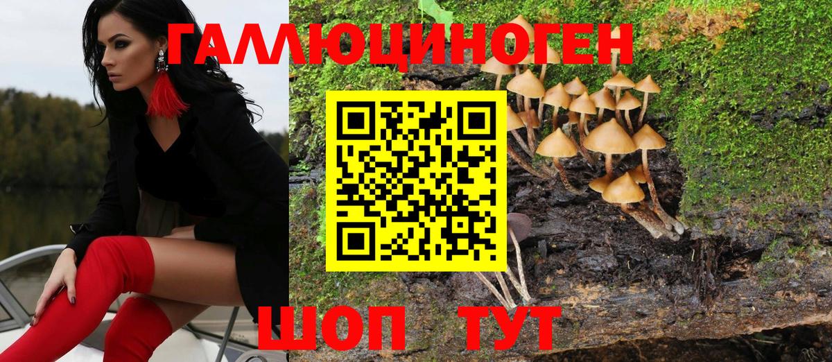 Псилоцибиновые грибы Magic Shrooms  Псилоцибиновые грибы Magic Shrooms  Вход с VPN  Можайск 