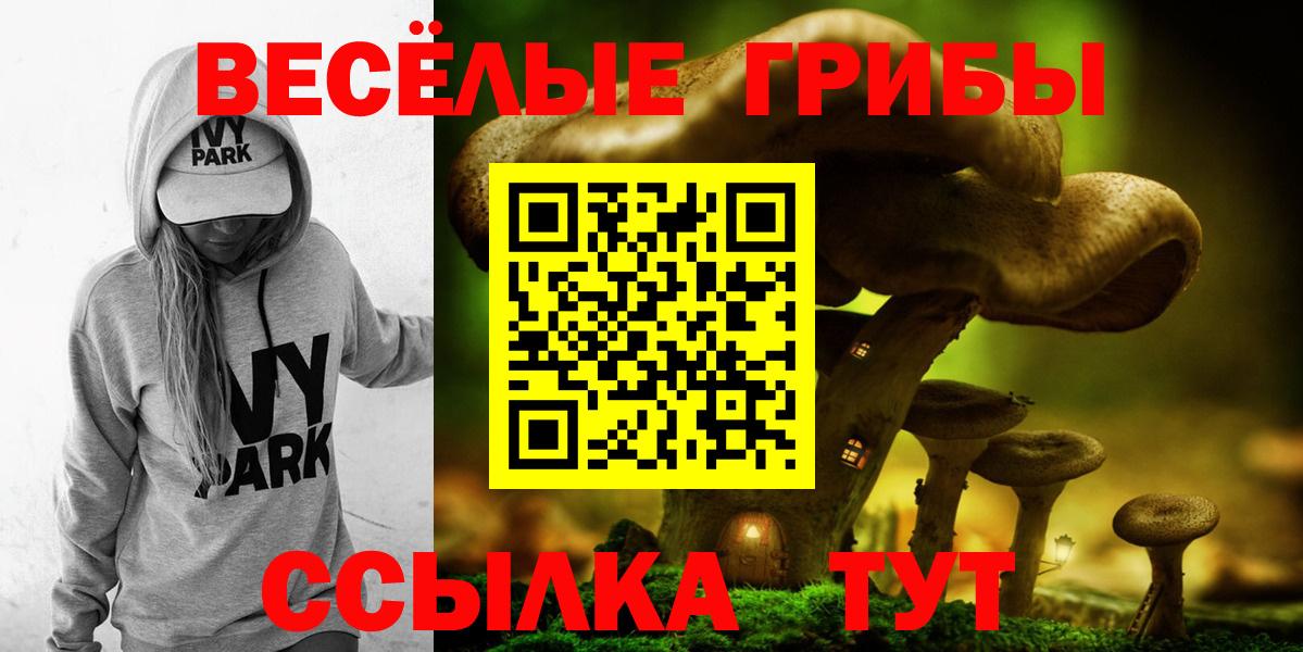 Галлюциногенные грибы GOLDEN TEACHER Можайск